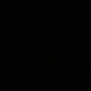 Meet your Posher, Zaneara